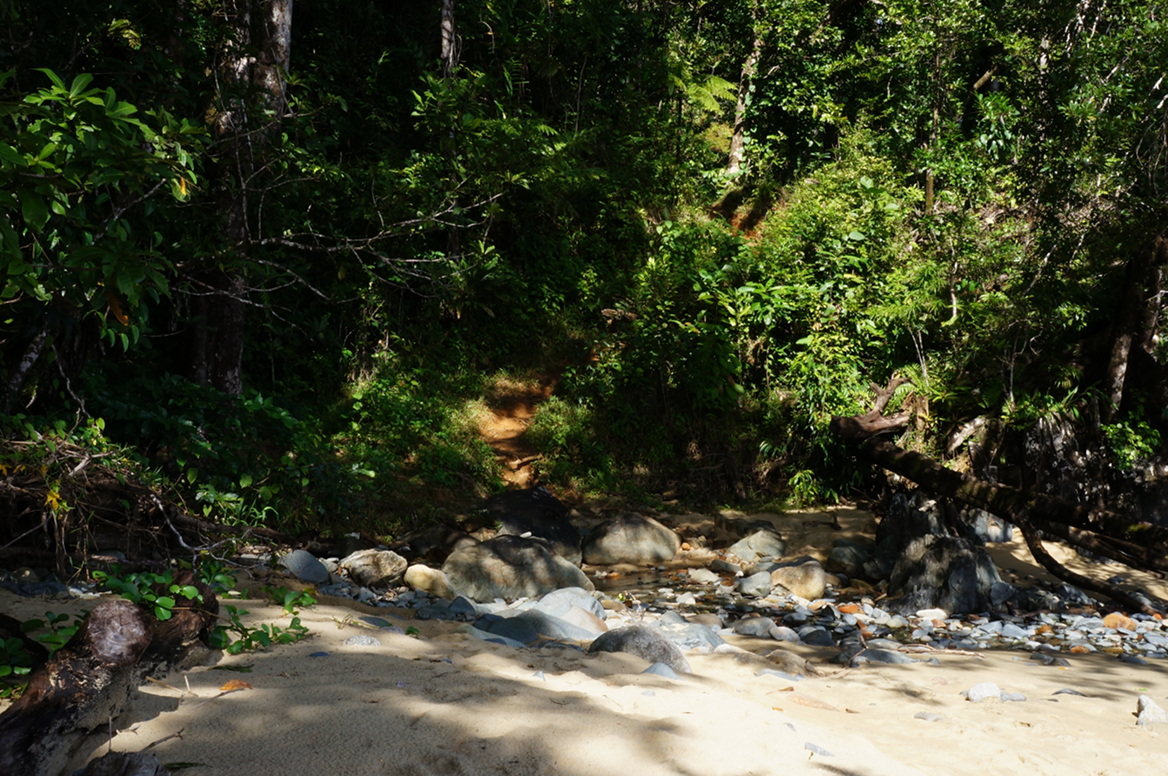 Masoala - path into forest