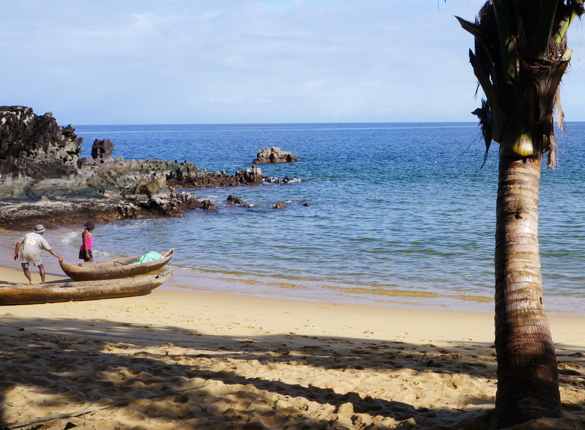Masoala - coconut tree seller and wife