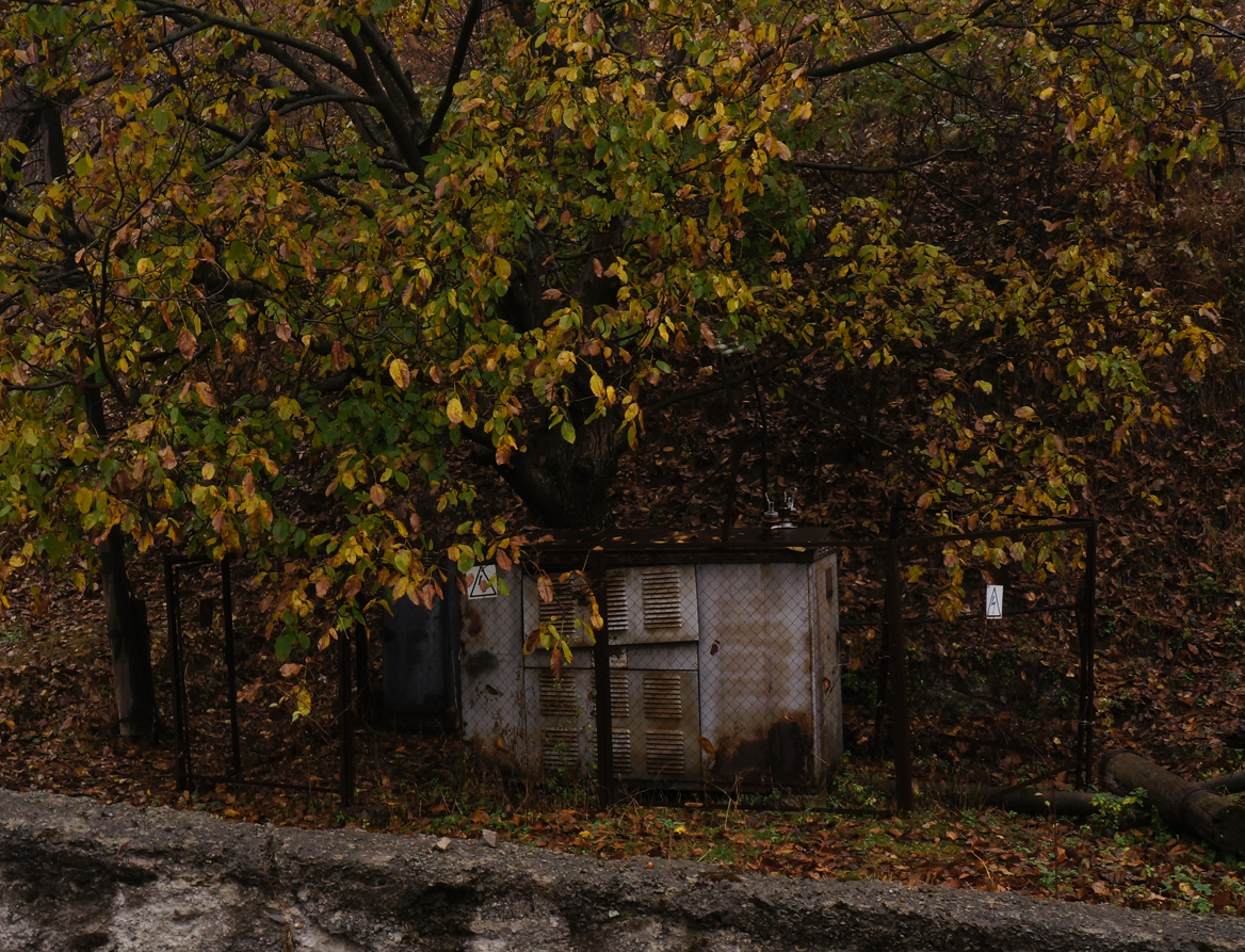 Where Electricity Comes From