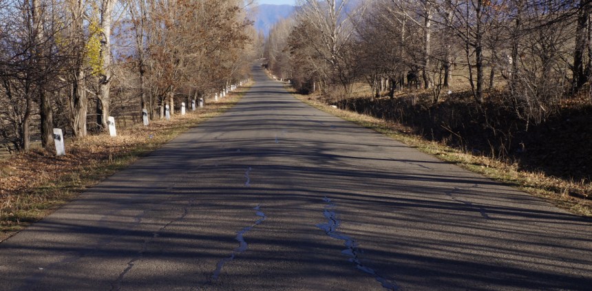 Fruit Trees on Road to Dsegh