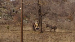 Armenia - Man with donkey