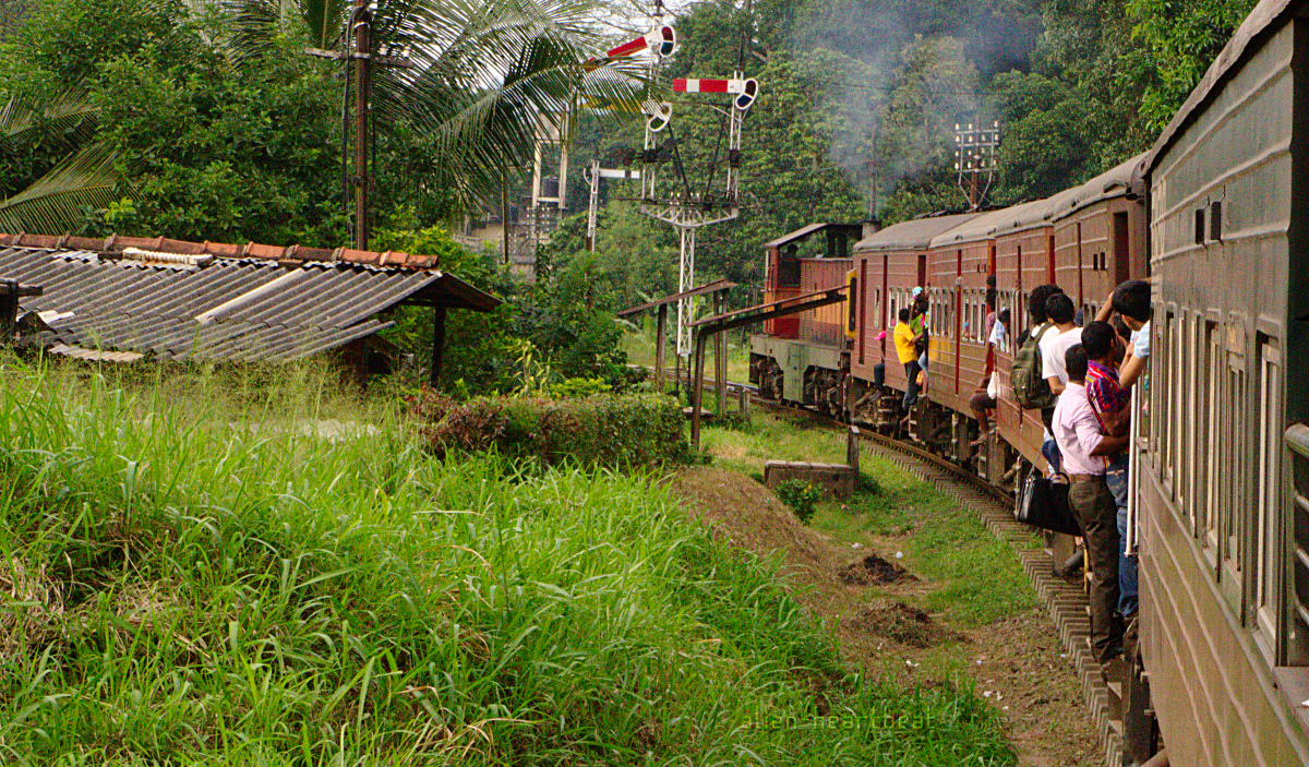 Sri Lanka: Boys Hanging Out of Train
