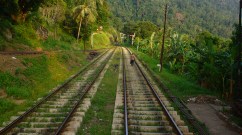Sri Lanka: Man Walking Home on Railway Tracks