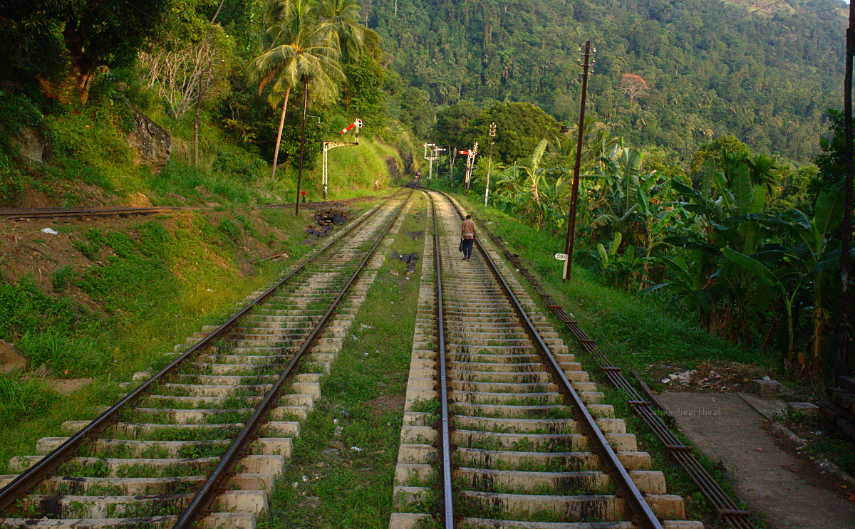 Sri Lanka: Man Walking Home on Railway Tracks