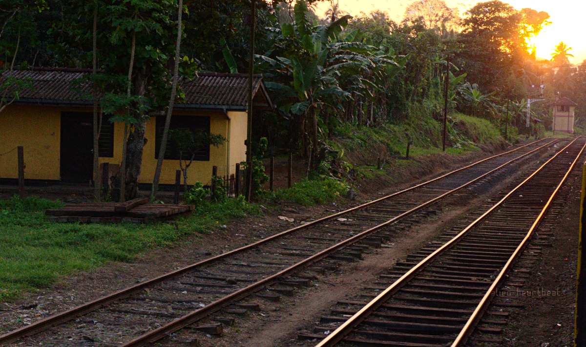 Sri Lanka: Sunset on Warm Tracks