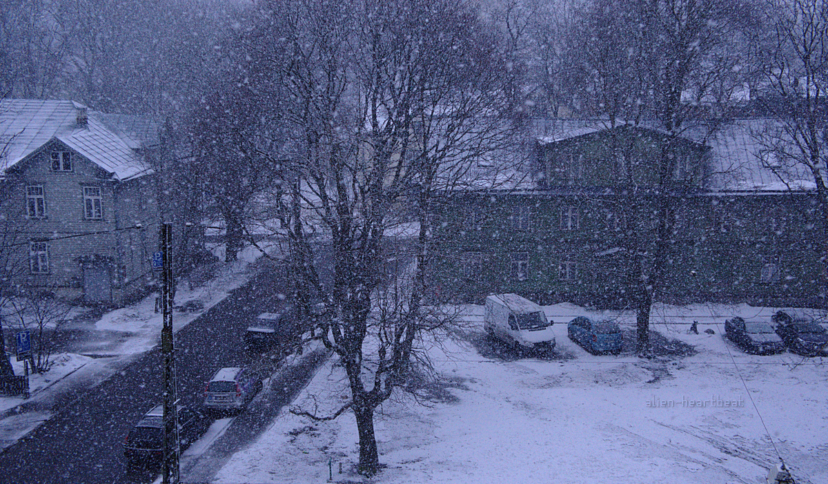 Estonia - Snowfall