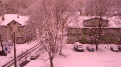 Estonia - Elegant after a Snowfall