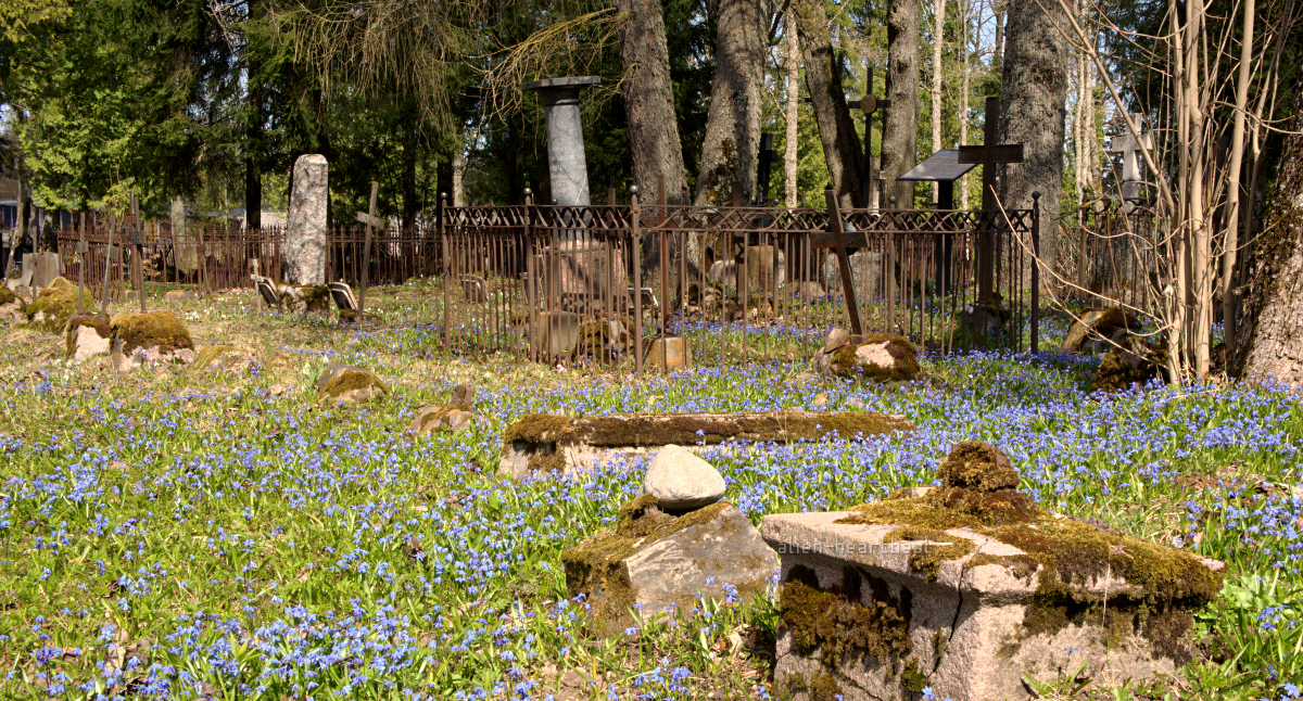 Estonia, Paide - Reopalu Cemetery - flowers, fence