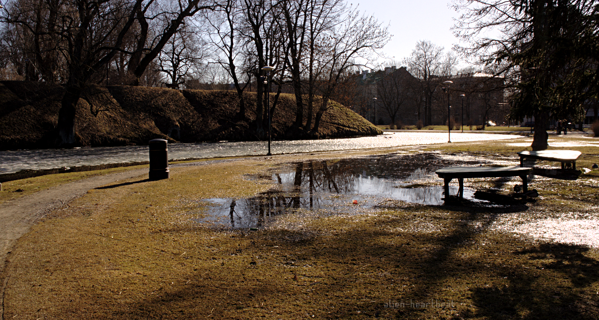 Tallinn - Spring - Icy Stream