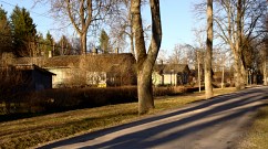 Estonia - Turi: sun shadows