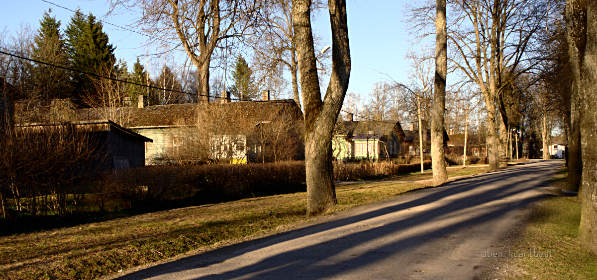 Estonia - Turi: sun shadows Estonia - Turi: sun shadows