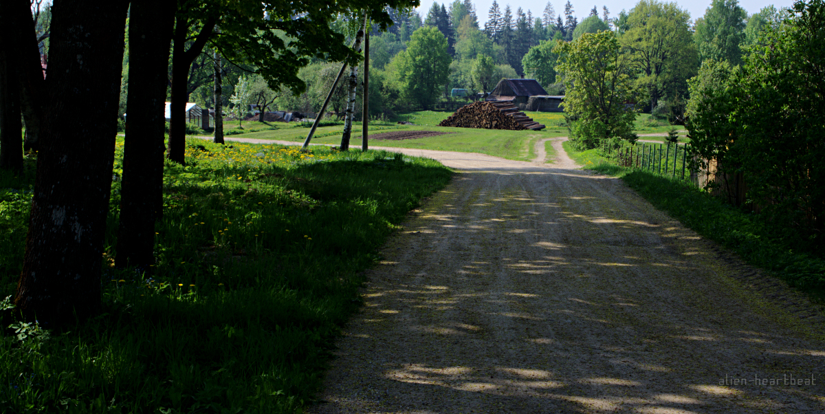 Estonia - Road to Otepaa - Puka Hamlet