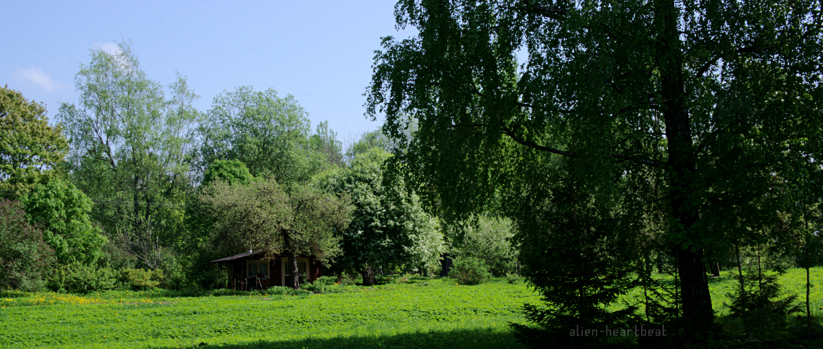 Estonia - Road to Otepaa - Puka - fields of green