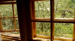 Estonia - Otepää - wood hostel - Apple Blossoms in yard