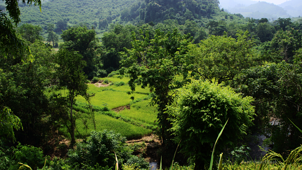 Laos: mountains- stream and fields